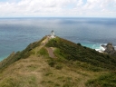whangarei (41)